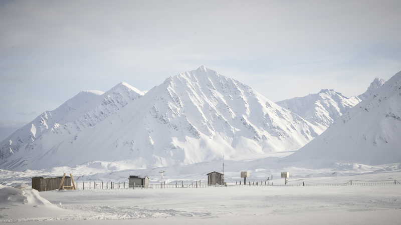 © Riccardo Selvatico - CNR - Ice Memory Foundation