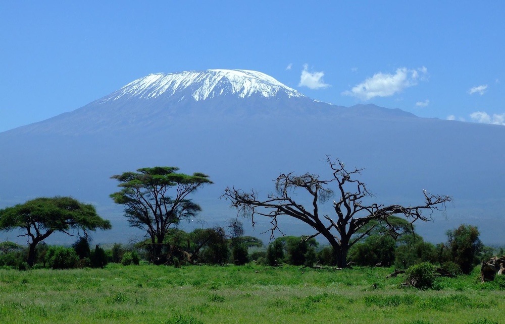 Kilimandjaro, Ice Memory, expedition