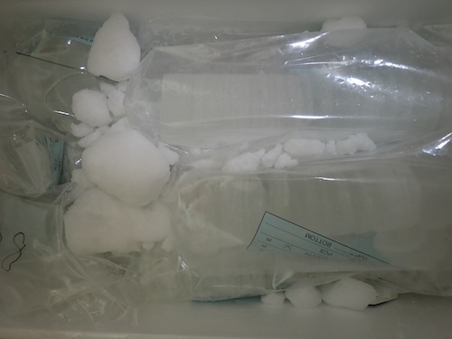 Collect, donate, ice core, Ice Memory Collect, donate, ice core, Ice Memory